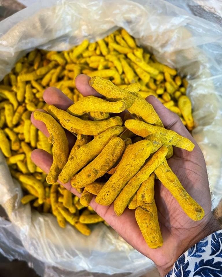 Turmeric - RK THAKUR SONS & CO.